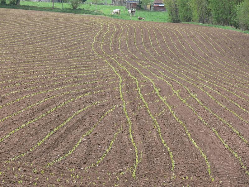 Mont Saint Michel 2010 - 337.jpg